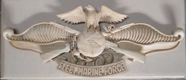3D Fleet Marine Force 